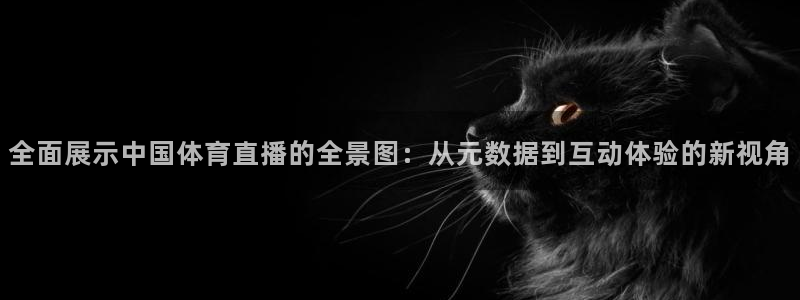 全面展示中国体育直播的全景图：从元数据到互动体验的新视角