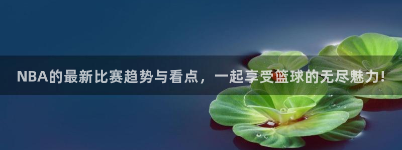 NBA的最新比赛趋势与看点，一起享受篮球的无尽魅力!