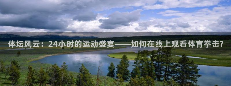 体坛风云：24小时的运动盛宴——如何在线上观看体育拳击?