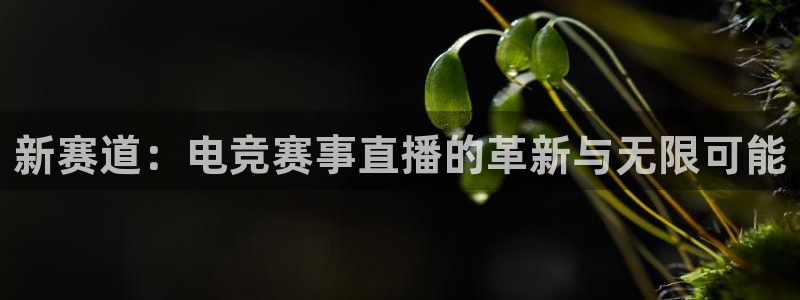新赛道：电竞赛事直播的革新与无限可能