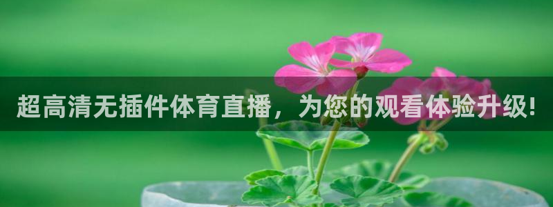 超高清无插件体育直播，为您的观看体验升级!