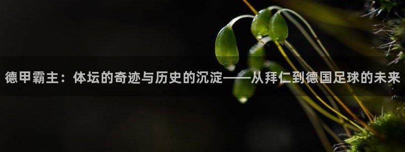 德甲霸主：体坛的奇迹与历史的沉淀——从拜仁到德国足球的未来