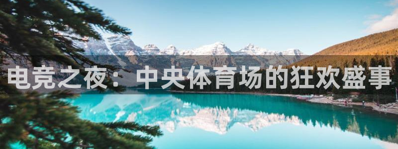 电竞之夜：中央体育场的狂欢盛事