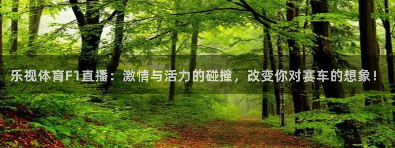 乐视体育F1直播：激情与活力的碰撞，改变你对赛车的想象！
