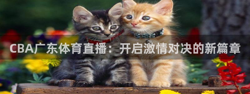 CBA广东体育直播：开启激情对决的新篇章