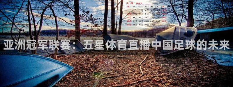 亚洲冠军联赛：五星体育直播中国足球的未来