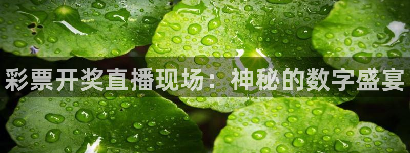彩票开奖直播现场：神秘的数字盛宴