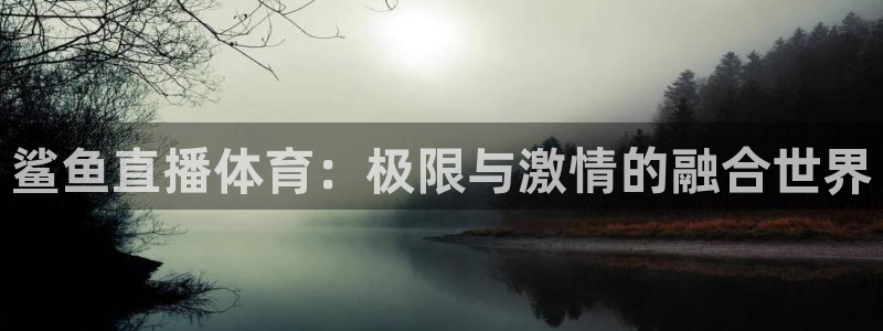 鲨鱼直播体育：极限与激情的融合世界