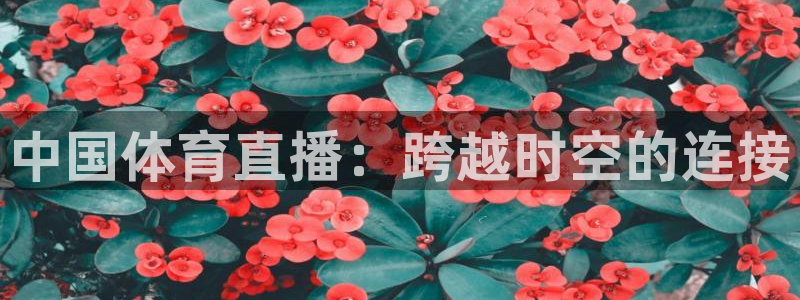 中国体育直播：跨越时空的连接