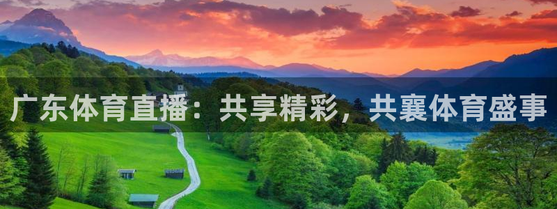广东体育直播：共享精彩，共襄体育盛事