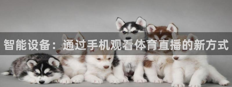 智能设备：通过手机观看体育直播的新方式