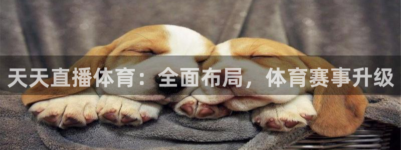 天天直播体育：全面布局，体育赛事升级