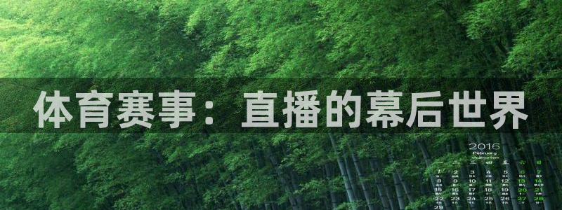 体育赛事：直播的幕后世界