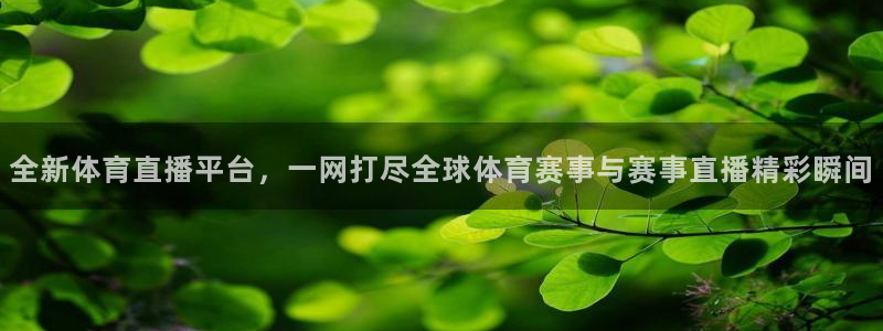 全新体育直播平台，一网打尽全球体育赛事与赛事直播精彩瞬间