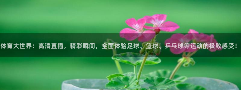 体育大世界：高清直播，精彩瞬间，全面体验足球、篮球、乒乓球等运动的极致感受！